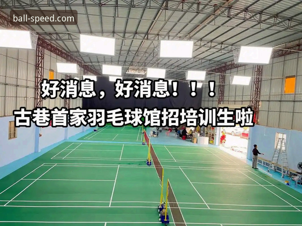 球速体育下载 球速体育平台功能全面解析:从下载体验到数据追踪的实用指南